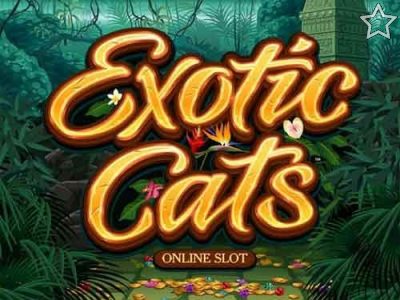 Exotic Cats