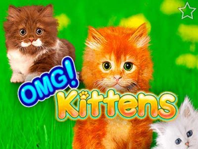 OMG Kittens