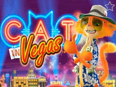 Cat in Vegas